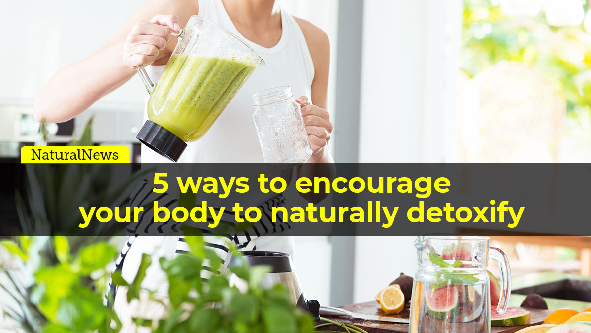 Image: 5 ways to encourage your body to naturally detoxify
