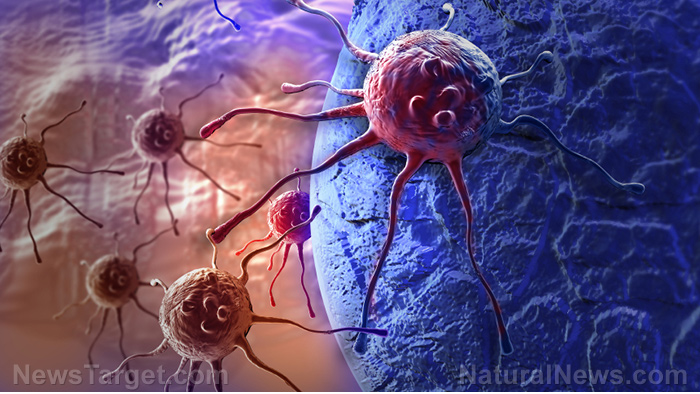 Image: Scientists discover how common alcohol found in wine can kill cancer tumors