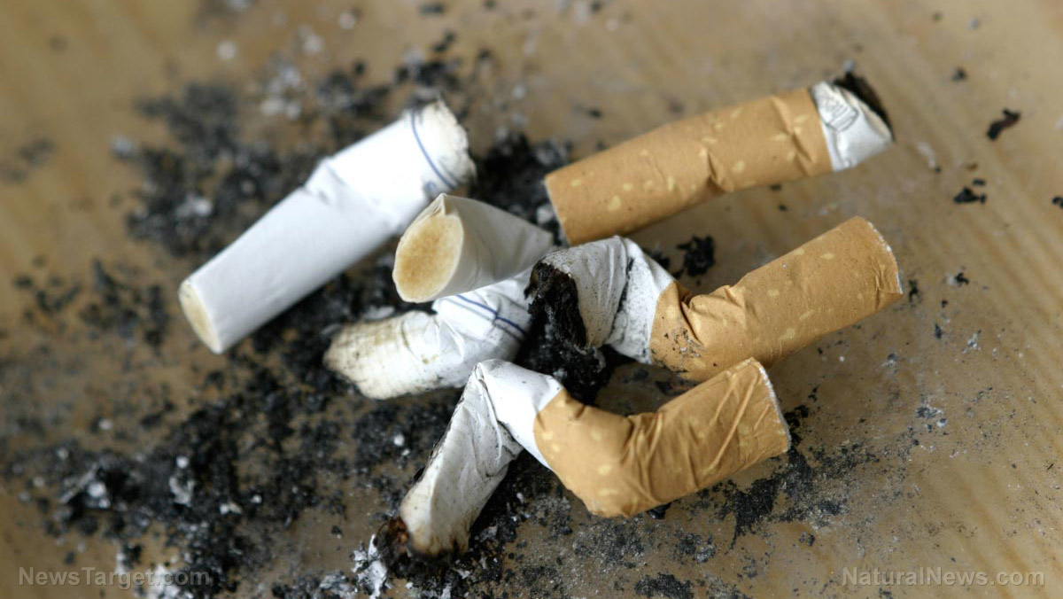 Image: New life for pollution: Chemists are looking into using cigarette butts for hydrogen storage