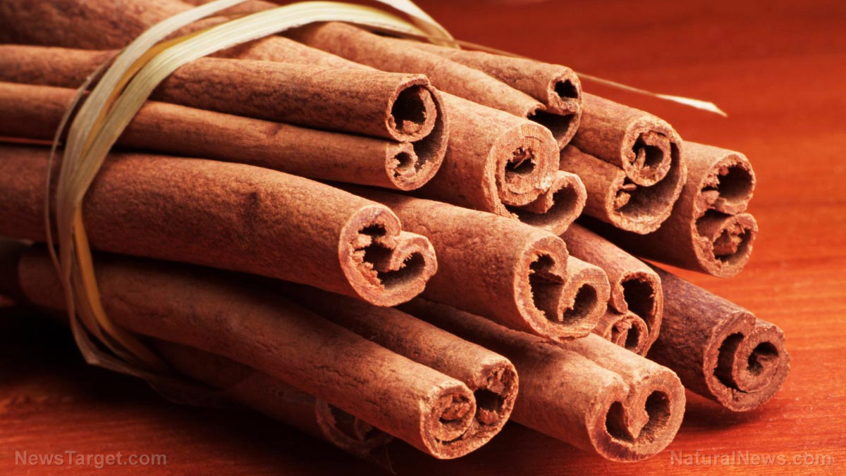 Image: Cinnamon spice — powdered tree bark — found to accelerate the body’s fat burning