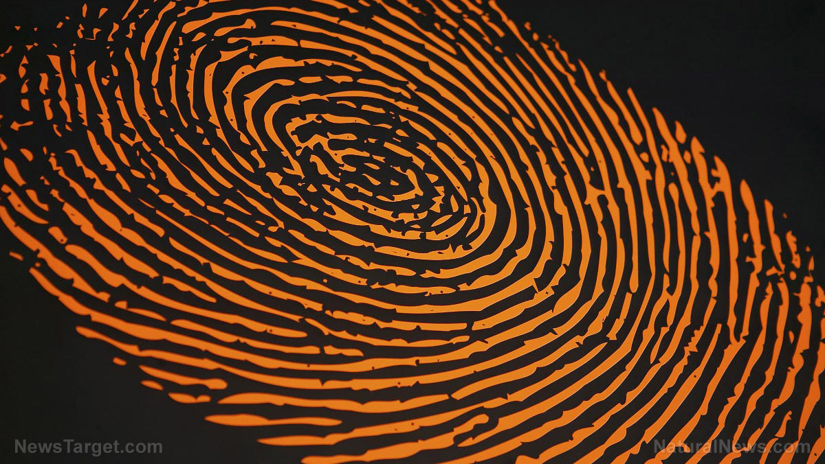 Image: Scientific group says fingerprint evidence in crimes is practically worthless