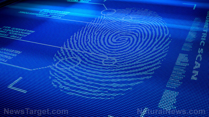 Image: Maybe your fingerprints aren’t so unique after all: New report claims there is not enough scientific basis to claim certain identification