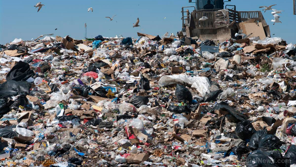 Image: Scientists say that waste from landfills could be recycled as energy or reused as raw materials
