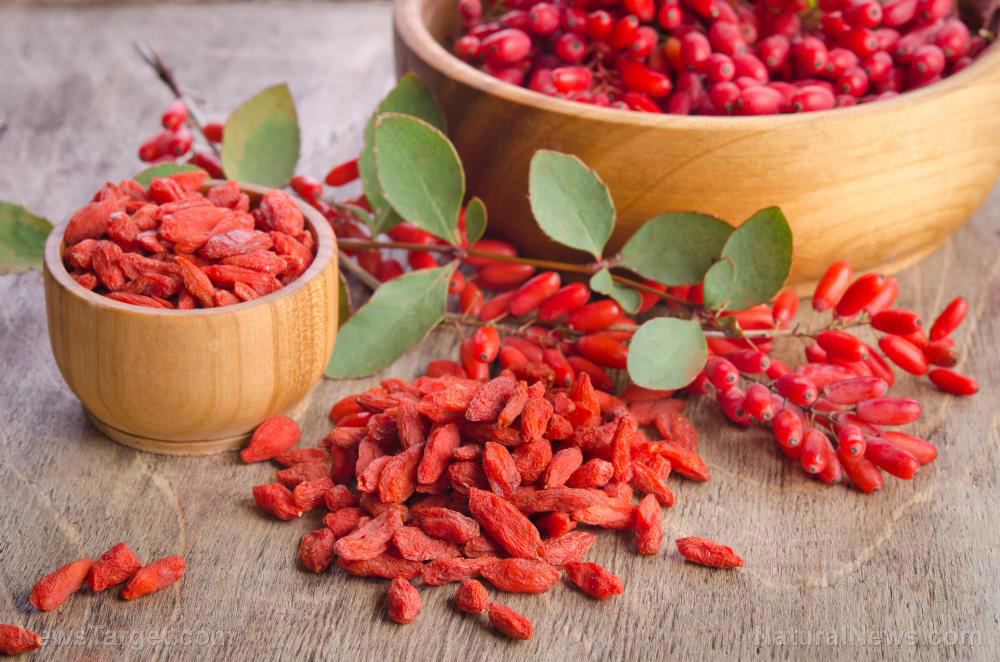 Image: Barberry juice found to reduce cardiovascular disease risk in diabetic patients