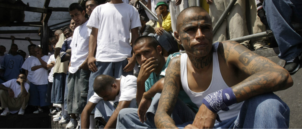 Image: Democrats emerge as pro-GANG, but anti-America as radical Leftists defend MS-13 violent animals as being “angels” and saints