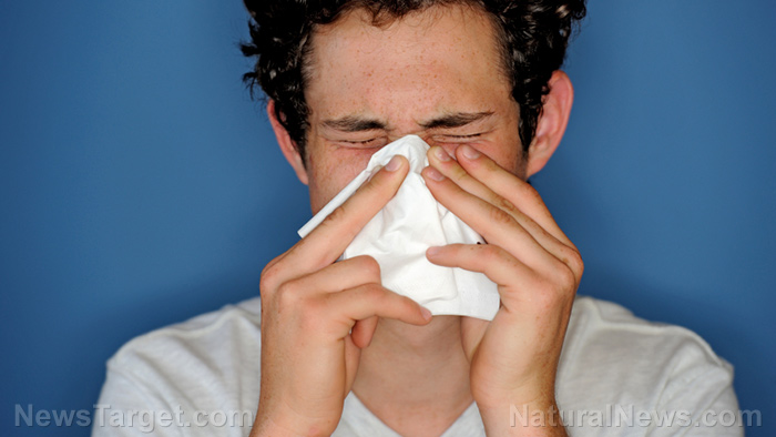Image: Treating your nasal allergies with alternative medicine