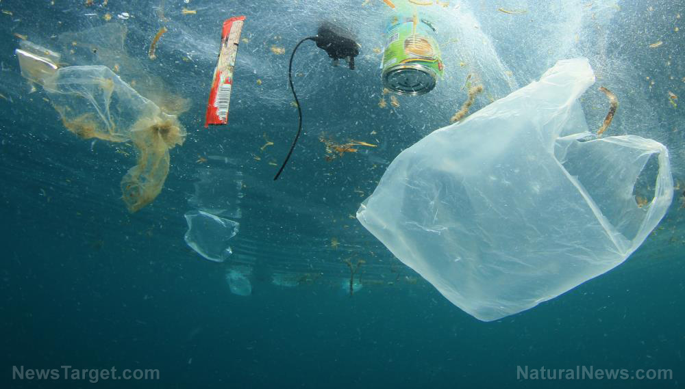 Image: How we can really reduce plastic pollution (it’s not by recycling)