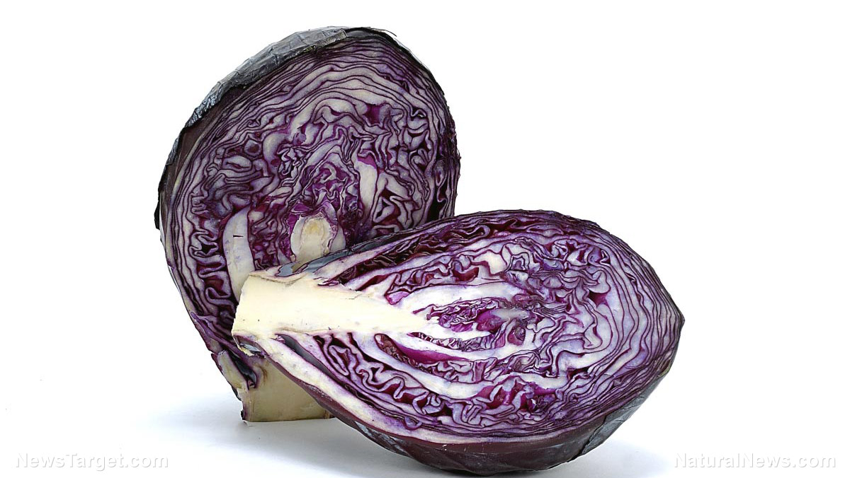 Image: Eating more red cabbage reduces your risk of Alzheimer’s