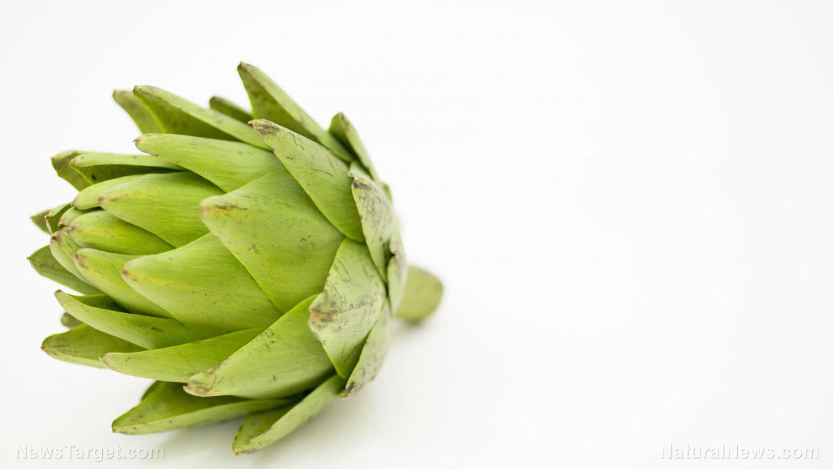 Image: Artichoke extract found to lower high cholesterol and protect the liver from alcohol damage