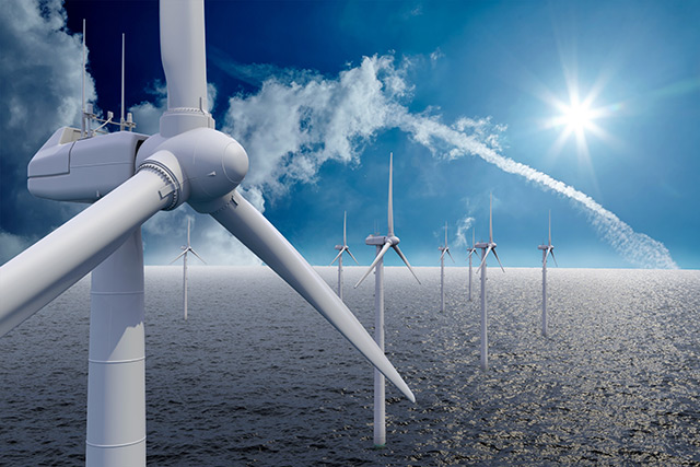 Image: Wind farm construction may harm marine populations