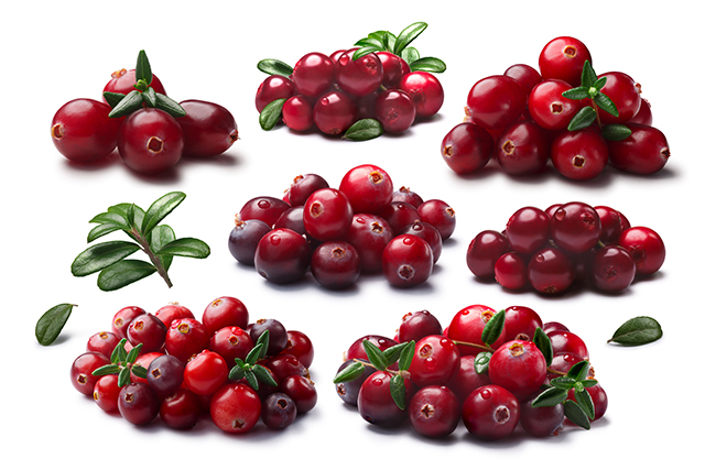 Image: Anthocyanins, abundantly found in berries, treat insulin resistance while managing cholesterol levels