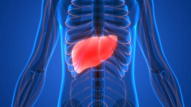 Image: TCM found to significantly reduce your risk of liver disease
