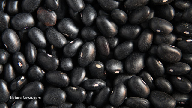 Image: Why black beans are the best foods for hypertensive people