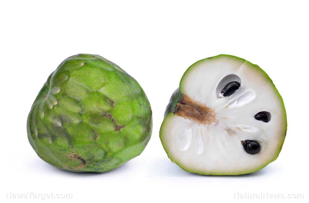 Image: A tropical fruit found to be an effective natural fruit fly killer
