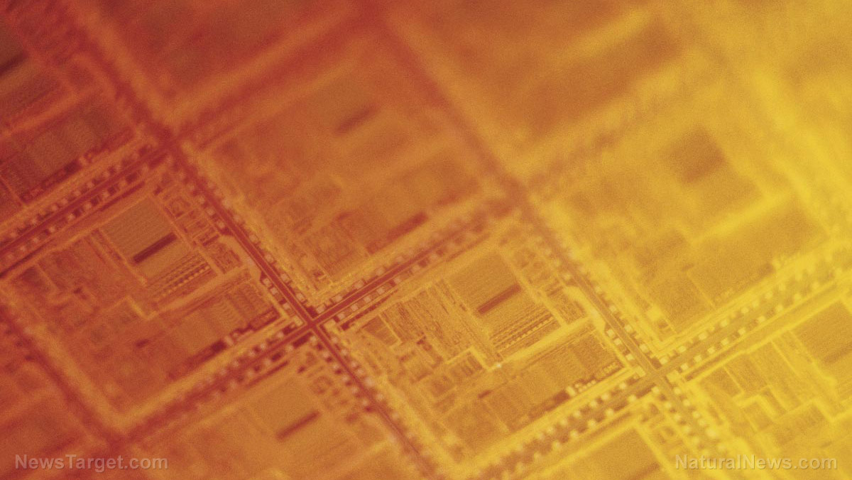 Image: Researchers create “virtually indestructible” chips that are also unhackable, study finds