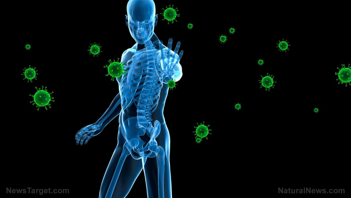 Image: Repairing immunity – The key to healing