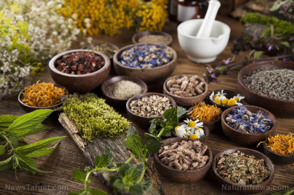 Image: More people are turning to herbal treatments as dissatisfaction with conventional medicine increases