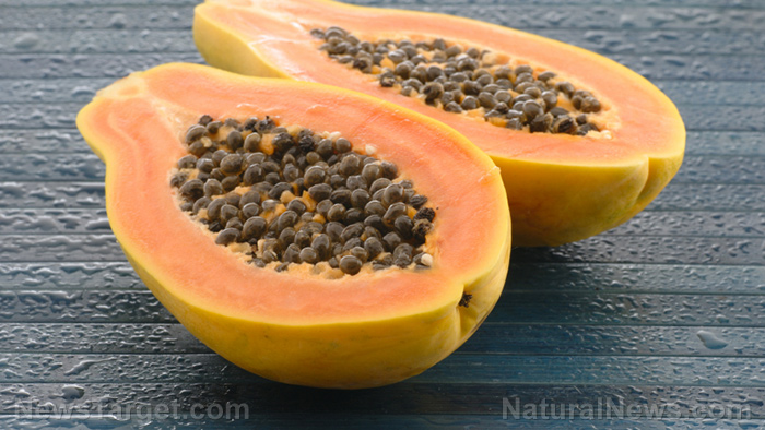 Image: A compound produced by bacteria in papayas shows promise as a powerful antibacterial agent