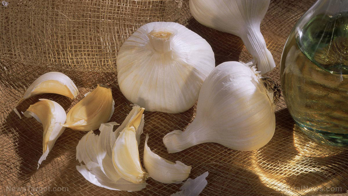 Image: Food cures: A guide to making your own garlic tincture