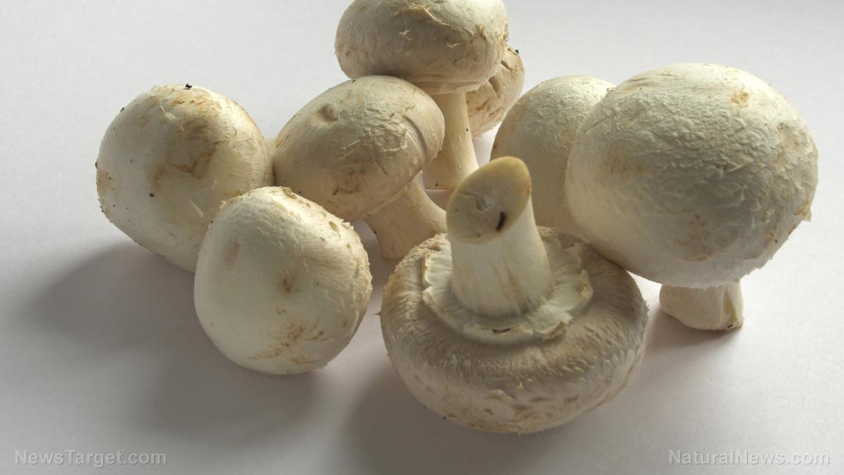 Image: Eating mushrooms every day fights chronic disease: Button mushrooms are high in antioxidants, researchers discover