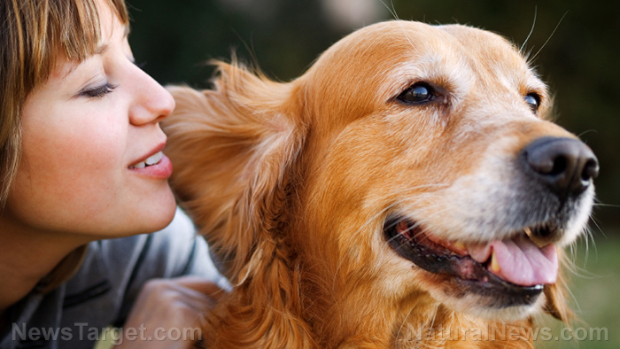 Image: Puppy love: Keep your dog happy and healthy with these 5 easy tips