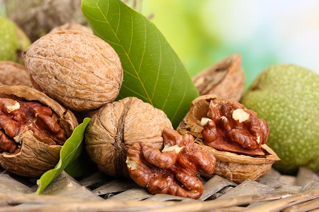 Image: Natural remedies: Males with fertility problems may find help in the walnut leaf