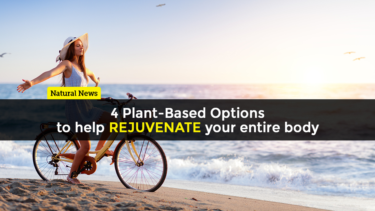 Image: Four plant-based options to help rejuvenate your entire body