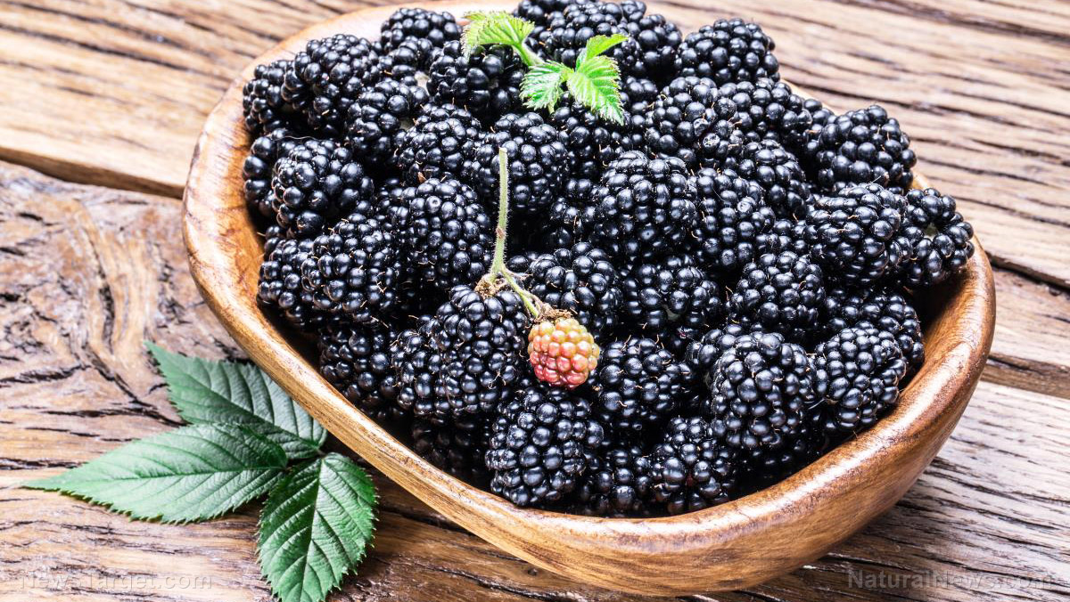 Image: Blackberries are one of the best foods to eat for a healthier immune system
