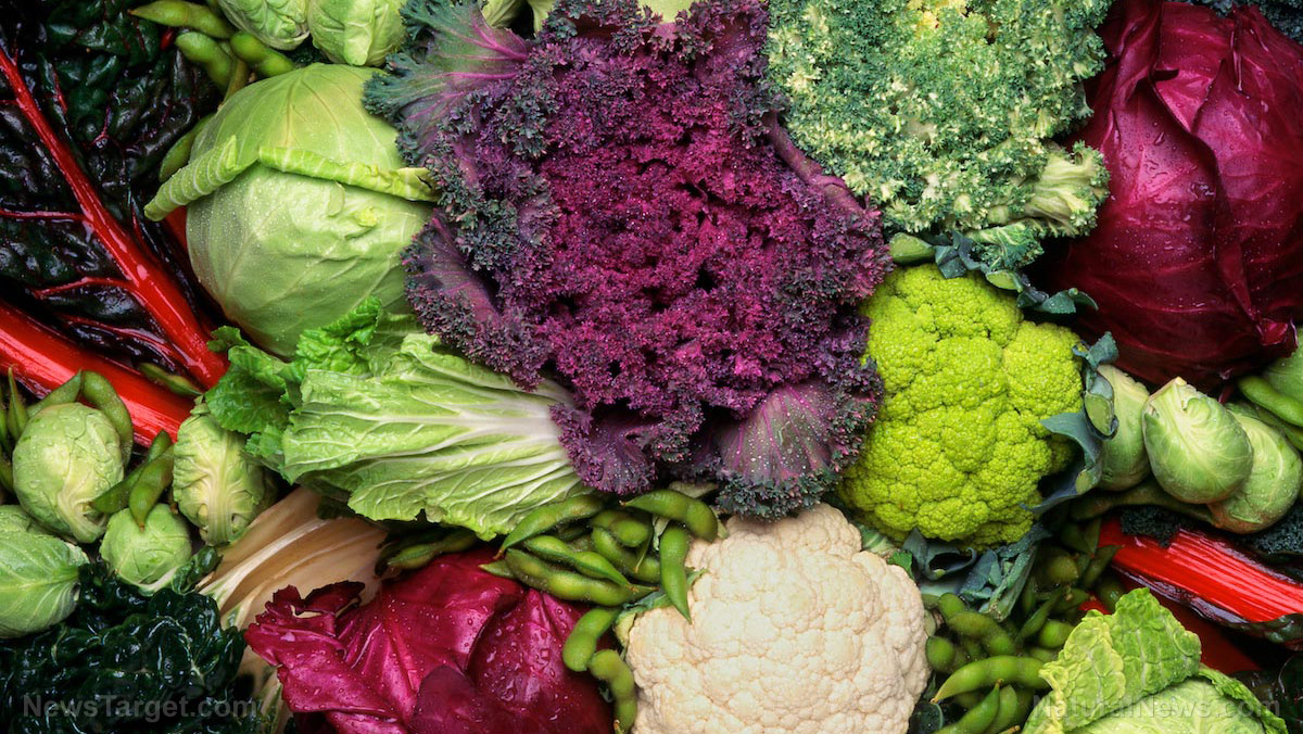 Image: Natural chemicals produced by vegetables like kale and broccoli help maintain a healthy gut and prevent colon cancer
