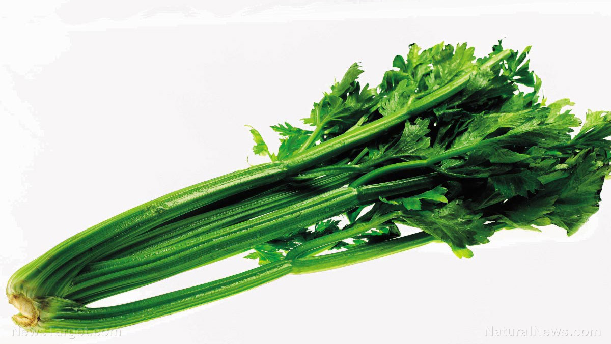 Image: Celery is an underappreciated vegetable: This nutritional superhero targets cancer cells at a molecular level