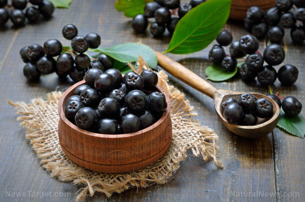 Image: Medicinal food: Aronia berry found to have an anti-diabetic effect