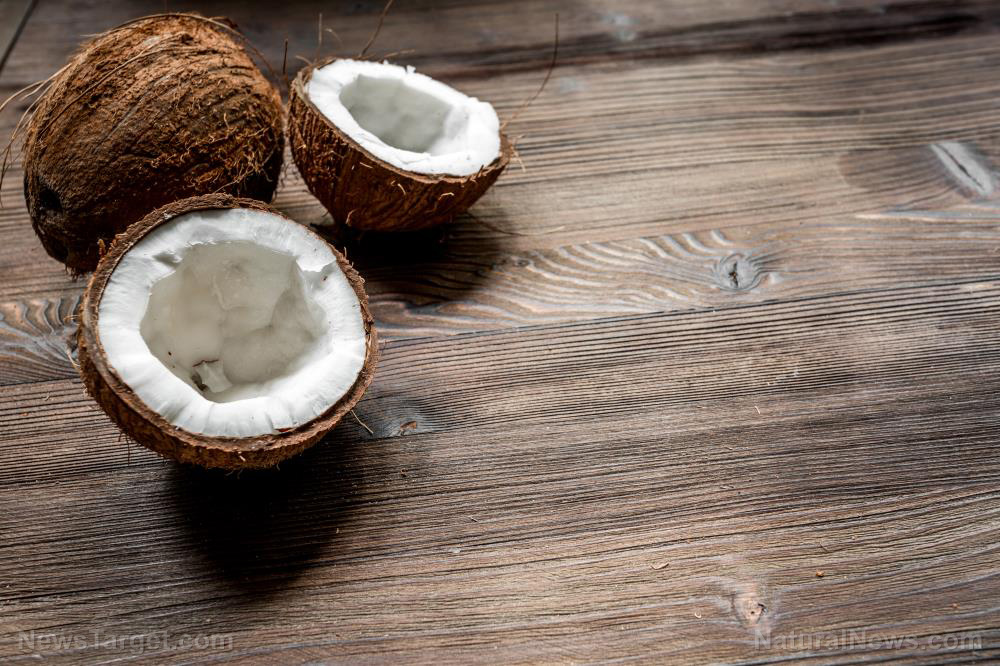 Image: Natural antidepressant: Coconut husk fiber shows potential as a mood enhancer