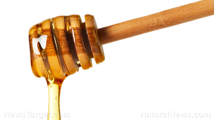 Image: One of the most powerful superfoods, honey protects you from cancer and keeps your immune system strong