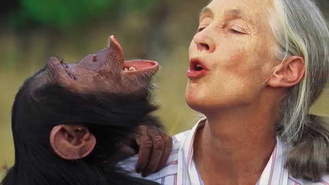 Image: GMO food and fraudulent industry ‘science’ condemned by world-famous scientist Jane Goodall