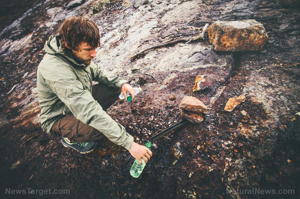Image: A survivalist’s guide to water: How to source it in the wild, how much you need, and how to prevent dehydration