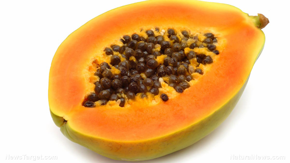 Image: Food scientists: Eat more wild papaya for a stronger immune system