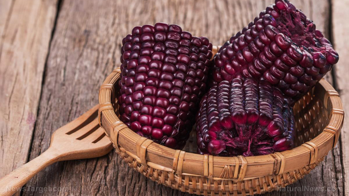 Image: Researchers say that purple corn is a natural aphrodisiac