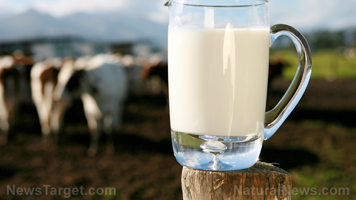 Image: HUH? Cow’s milk is “a symbol of white supremacy,” says PETA