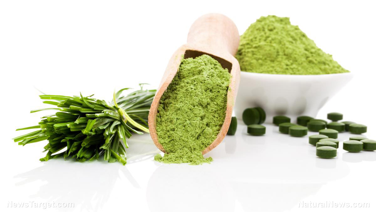 Image: Wheatgrass helps manage cholesterol levels in menopausal women