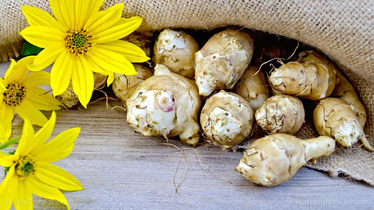 Image: Health benefits of Jerusalem artichoke and its potential use in food products