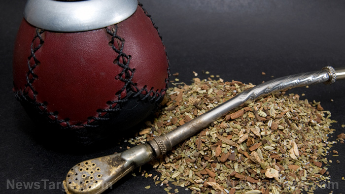 Image: Better than coffee? Yerba mate is an herbal tea that keeps your mind strong AND helps you lose weight
