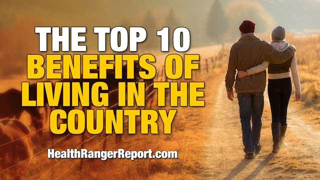 Image: The top 10 benefits of living in the country