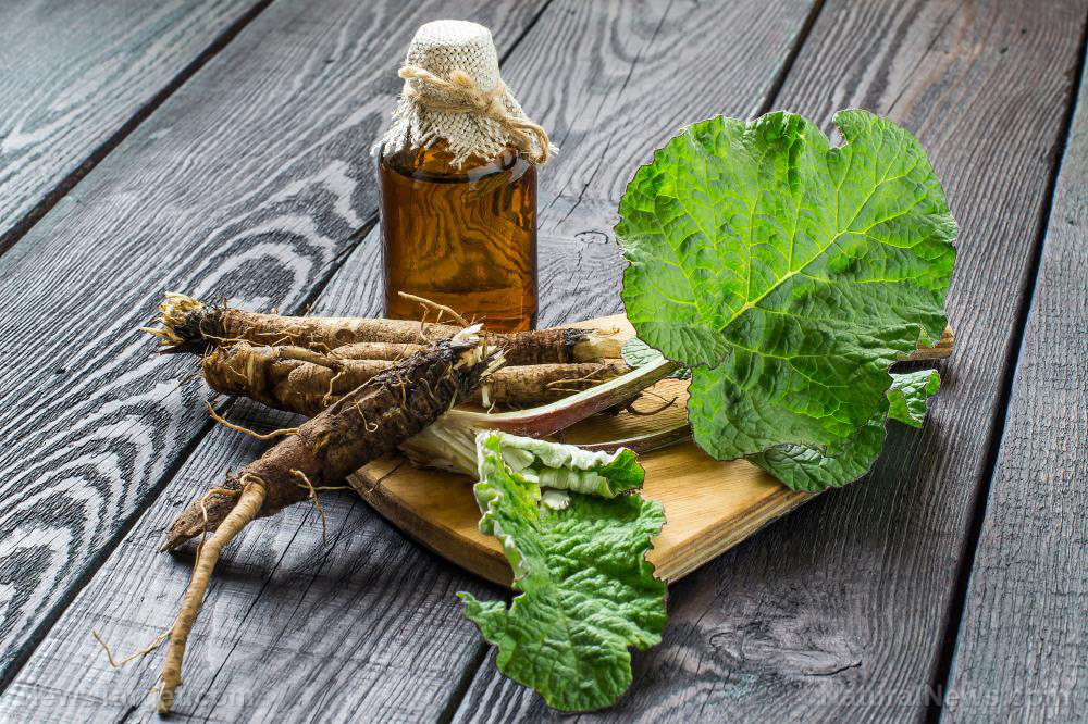 Image: The versatile burdock root is a powerful blood purifier and diuretic