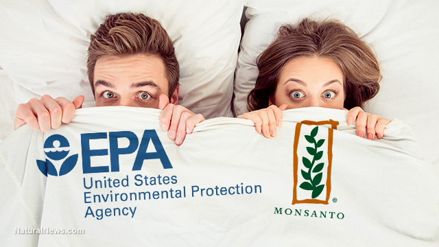 Image: EPA in bed with Monsanto / Bayer, burying studies that show glyphosate causes cancer