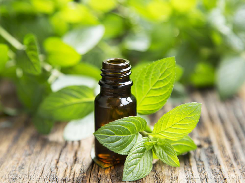 Image: 10 ways peppermint oil improves your health