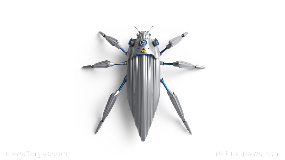 Image: Future weapons: DARPA seeking innovative designs for insect-sized robots to compete in a series of tactical competitions