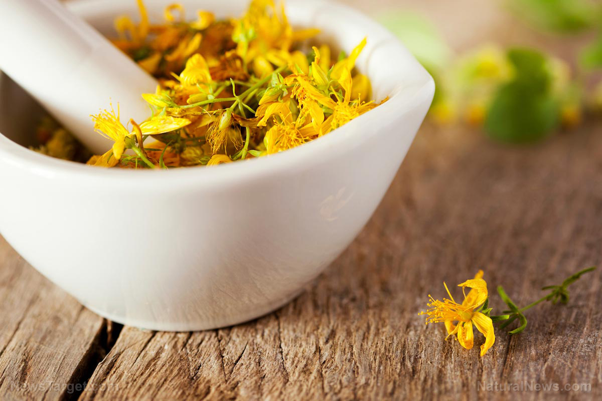 Image: Everything you need to know about using St. John’s wort for depression