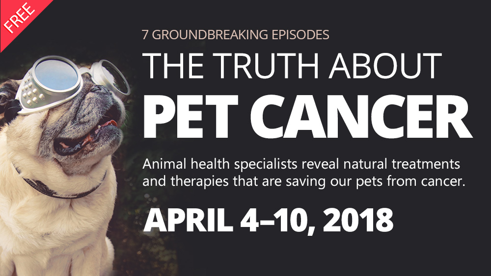 Image: The lifesaving Pet Cancer docu-series begins in two days… see all episodes here