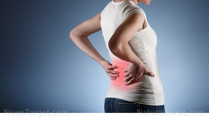 Image: Supplementing with vitamin D shown to reduce chronic lower back pain