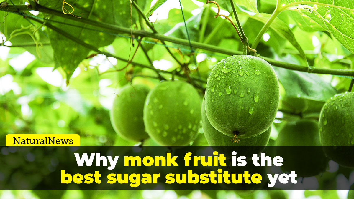 Image: Why monk fruit is the best sugar substitute yet discovered